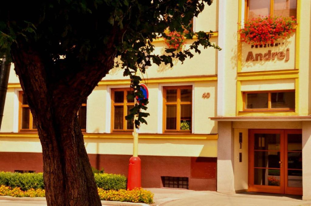 Penzion Andrej Rużomberk Zewnętrze zdjęcie